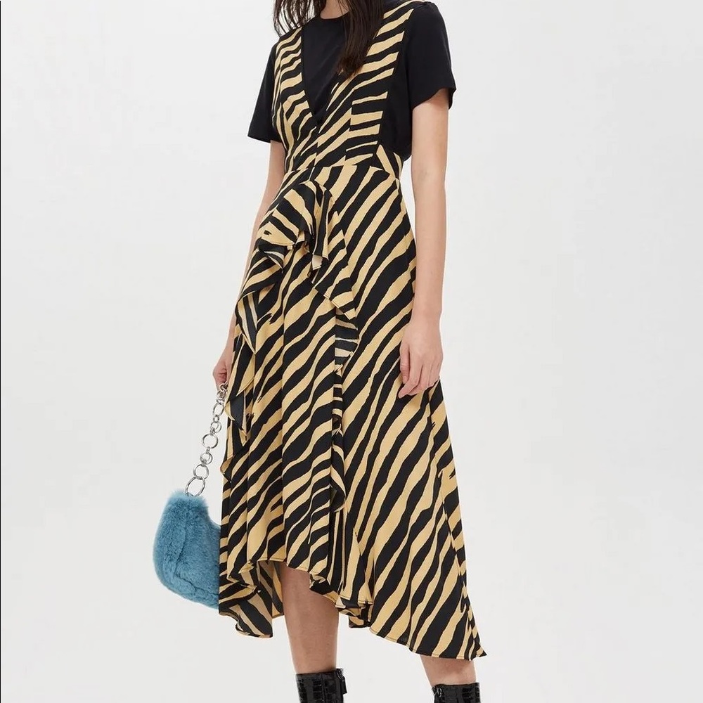 Topshop Zebra Print Dress